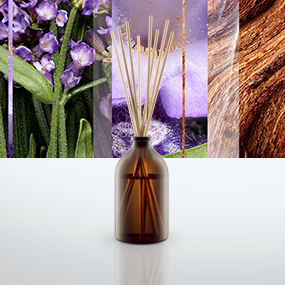 DEOD.GLADE BASTONCINI MOMENT OF ZEN ML80