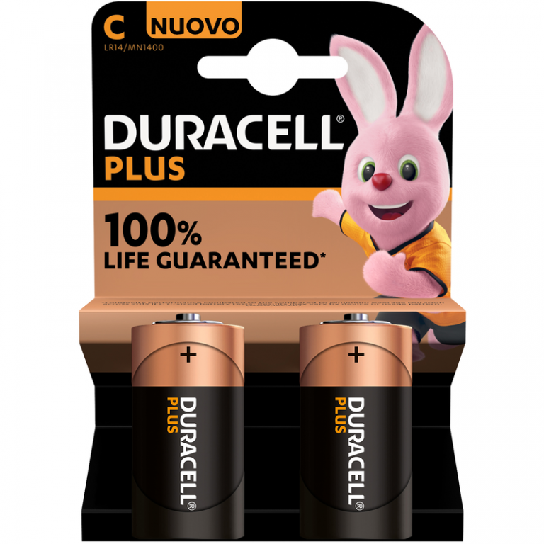 PILA DURACELL PLUS 100 C 2pc  